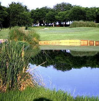 course image