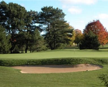 course image