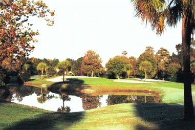 course image