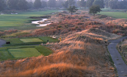 course image