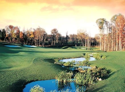 course image