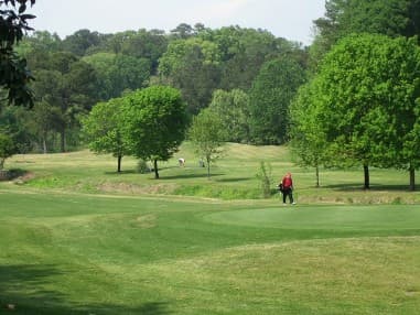 course image