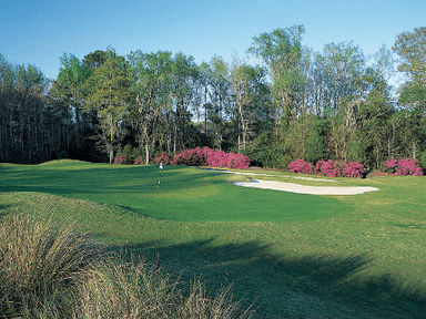 course-image