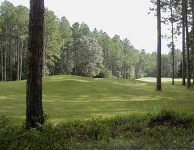 course-image