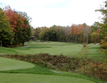 course image