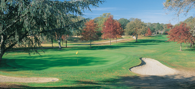 course image