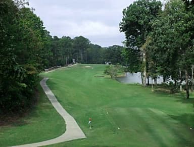 course-image
