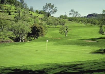 course image