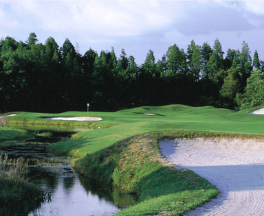 course-image