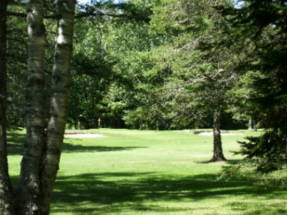 course image