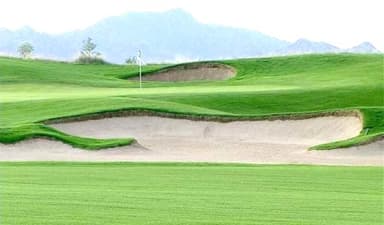 course-image