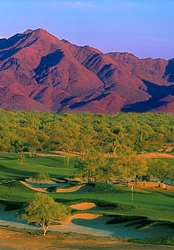 course image