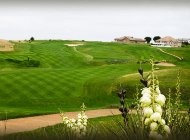 course-image