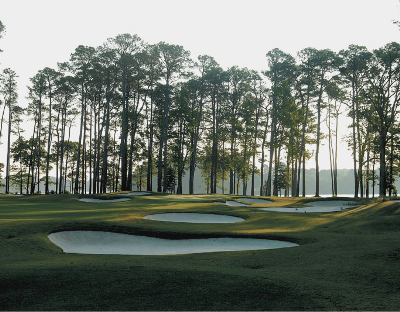 course image