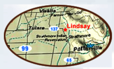 course-image