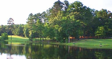 course-image