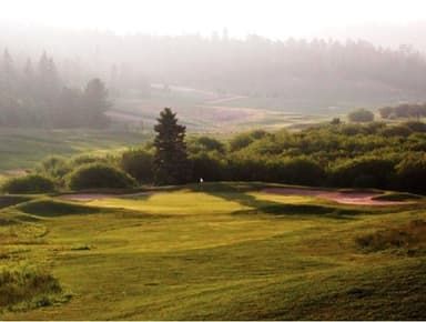 course-image