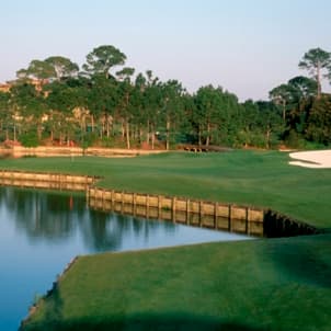 course-image