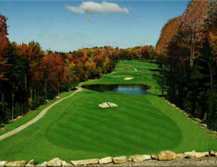 course image