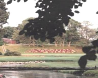 course-image