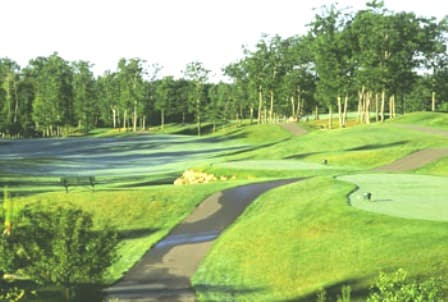 course image