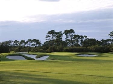 course-image