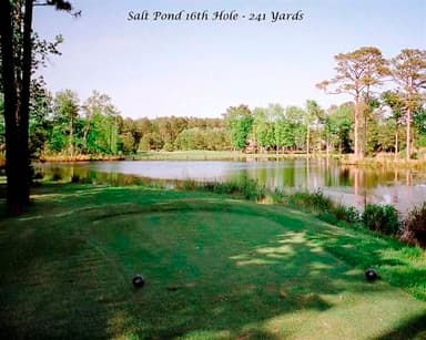 course-image
