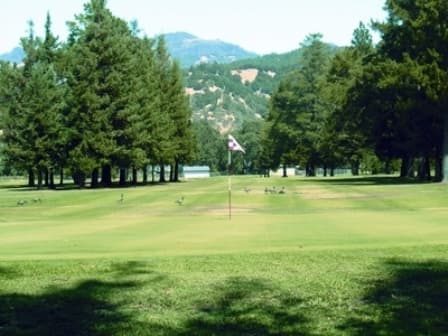 course image