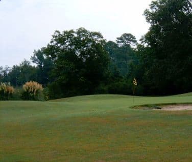 course image