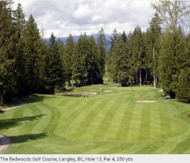 course image